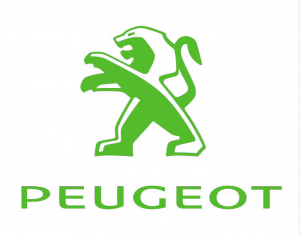 Peugeot Timingset autogereedschap