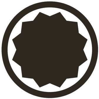 Kracht dopsleutelbit 12,5 mm (1/2) veeltand (voor XZN)