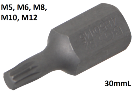 Bit (3/8) buitenzeskant veeltand (voor XZN)