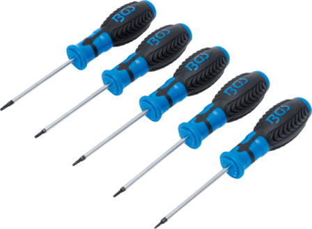 Schroevendraaierset T-profiel (voor Torx) met boring T6 - T10 5-dlg