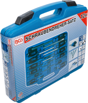 Schroevendraaier-set 6,3 mm (1/4) 12-dlg