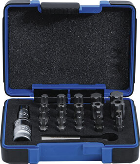 Bgs Technic Bit Set TS-profiel PLUS (voor Torx Plus) 23 stks