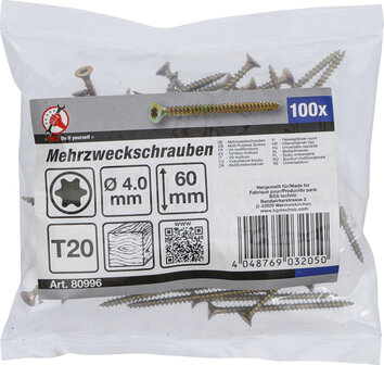 Multischroeven T-profiel (voor Torx) T20 4,0 x 60 mm 100 stuks