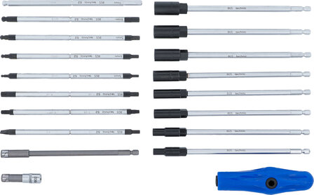 Bgs Technic Speciale T-greep schroevendraaierset 19-delig