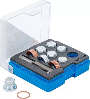 Bgs Technic Reparatieset voor olieaftap schroefdraad M17 x 1,5 mm