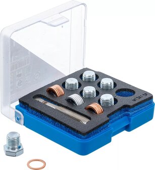 Bgs Technic Reparatieset voor olieaftap schroefdraad M13 x 1,5 mm