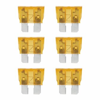 Steekzekeringen standaard 5A licht bruin 6 stuks in blister