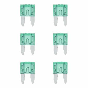 Steekzekeringen mini 30A groen 6 stuks in blister
