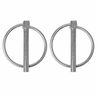 Borgpen 6mm met ring 2 stuks in blister
