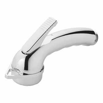 Handdouche Charisma chroom zonder slang
