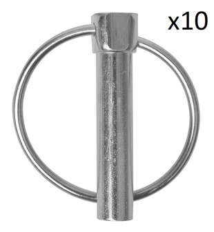Borgpen 10mm met ring x10 stuks