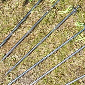 Rotspen 40 cm gegalvaniseerd staal met P-haak Heavy Duty x10 stuks