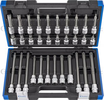 Dopsleutelbitset 1/2&quot; TP-profiel (voor Torx Plus) T20 - T70, 32-delig