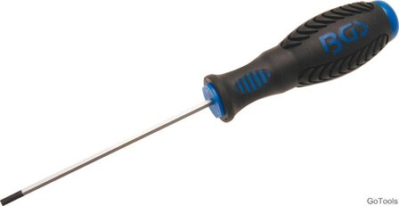 Internal Hexagon Screwdriver, H3.0 x 100 mm
