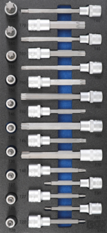 Bgs Technic Tool Tray 1/3: Bit Socket Set 12.5 mm (1/2) T-Star (for Torx) 26 delig