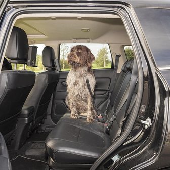 Hondenriem voor autogordel