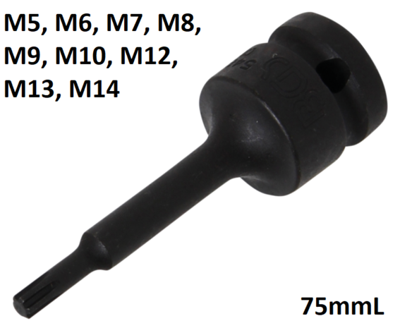 Bgs Technic Kracht dopsleutelbit 12,5 mm (1/2) wigprofiel (voor RIBE) M5 - M14
