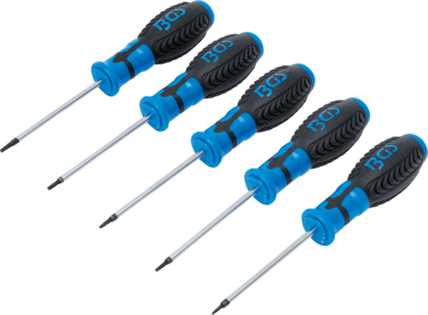 Schroevendraaierset T-profiel (voor Torx) met boring T6 - T10 5-dlg