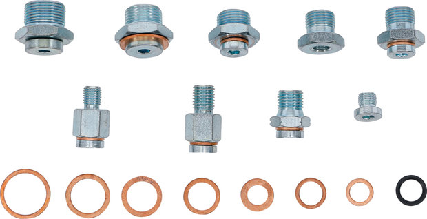 Reparatie-assortiment voor olieaftapschroeven 63-dlg