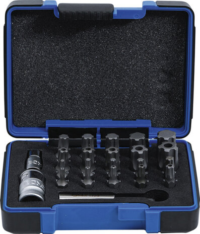 Bgs Technic Bit Set TS-profiel PLUS (voor Torx Plus) 23 stks