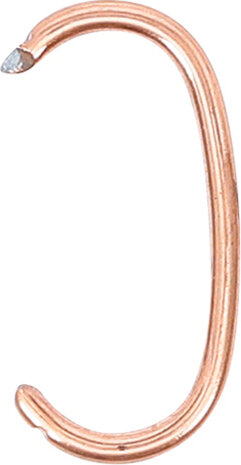 Bgs Technic Bekleding Clips, 100 stuks