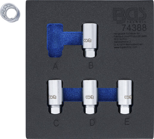 Gereedschapmodule 1/6: Velgenslot demontageset voor Tesla 5-dlg