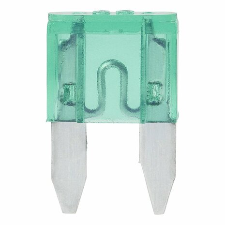 Steekzekeringen mini 30A groen 6 stuks in blister