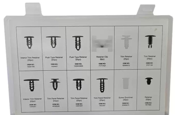 Bekleding clips assortiment Fiat 308-delige