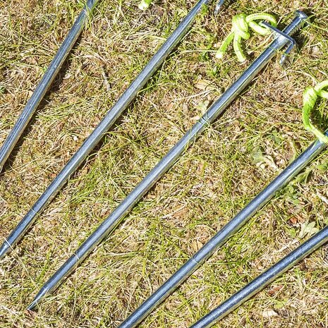 Rotspen 30 cm gegalvaniseerd staal met L-haak Heavy Duty x10 stuks