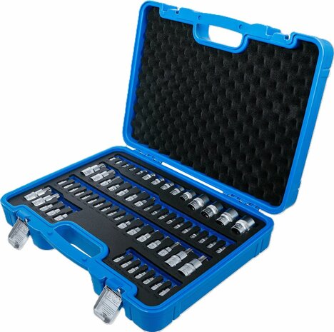 Bit- en dopsleutelset E-profiel / T-profiel (voor Torx) / T-profiel (voor Torx) mt boring / TP-profiel (voor Torx Plus) 60-dlg