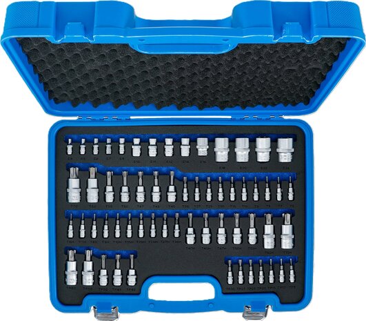 Bit- en dopsleutelset E-profiel / T-profiel (voor Torx) / T-profiel (voor Torx) mt boring / TP-profiel (voor Torx Plus) 60-dlg