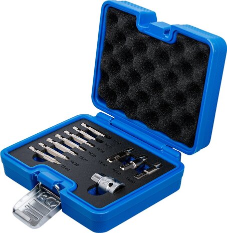 Schroeven uitdraaiset voor defect T-profiel (voor Torx) T10 - T55 11-dlg