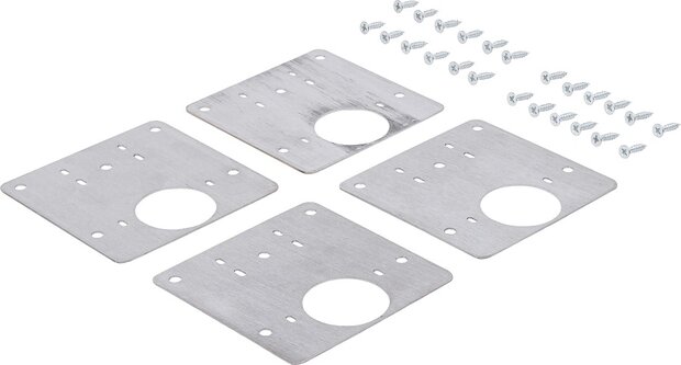Set scharnierreparatieplaten roestvrij staal 4-dlg