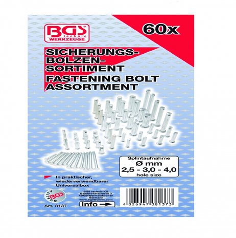 Bgs Technic Assortiment slotbouten, slotstiften, 60 delig