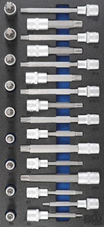 Bgs Technic Gereedschapmodule 1/3: dopsleutelbitset binnenzeskant wigprofiel (voor RIBE) | 25-dlg