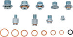 Reparatie-assortiment voor olieaftapschroeven 63-dlg