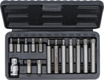 Bgs Technic Bitset 10 mm (3/8) T-profiel (voor Torx) 15-dlg