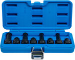Bgs Technic Kracht Bit doppenset (1/2) schijf Spline 8 delig