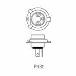 Autolamp 12V 60/55W P43t H4 in doosje