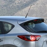Auto antenne incl. M5 M6 adapters