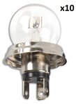 Autolamp 12V 45/40W P45t in doosje