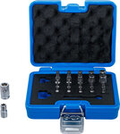Bitset TS-profiel (voor Torx Plus) 23-dlg