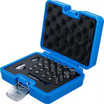 Bitset TS-profiel (voor Torx Plus) 23-dlg