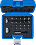 Bitset TS-profiel (voor Torx Plus) 23-dlg