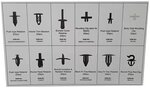 Trim Clip Assortiment-Volvo 350 stuks