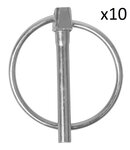 Borgpen 4,5mm met ring x10 stuks