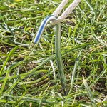 Tentharing 30cm metaal met open oog x5 stuks