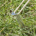 Tentharing 22cm aluminium halfrond x10 stuks