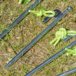 Rotspen 20 cm gegalvaniseerd staal met P-haak Heavy Duty x10 stuks
