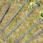 Rotspen 30 cm gegalvaniseerd staal met P-haak Heavy Duty x10 stuks